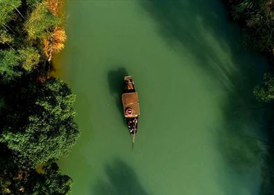 Xixi, China's first national wetland park | Stories shared by Xi Jinping