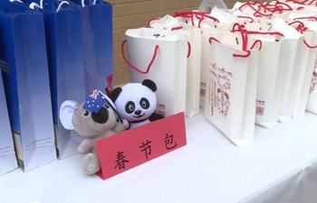 Spring Festival gift packs sent to overseas Chinese
