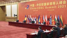 Experts speak highly of Xi's keynote speech at China-CEEC Summit