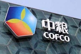 China's food giant reports over 500 bln yuan revenue in 2020