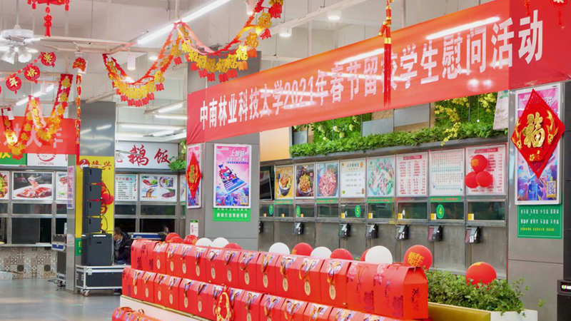 Chinese celebrate Spring Festival in new ways as millions stay put