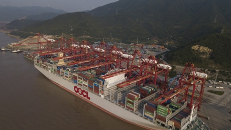 China's busiest port sees robust container throughput growth