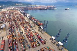 Chinese ports receive more cargo over Spring Festival amid economic recovery