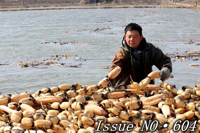 China vows to further ensure grain security