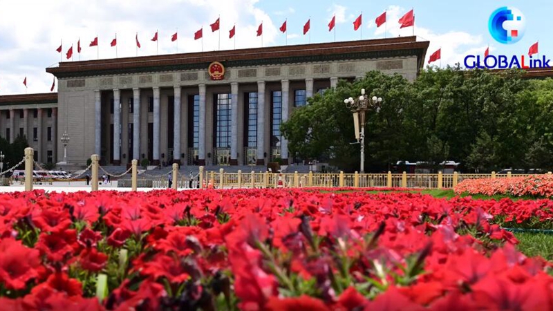 GLOBALink | Xinhua Special: Themes Covered by Xi at China's Two Sessions