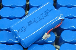 China's battery giant reports robust profits in 2020