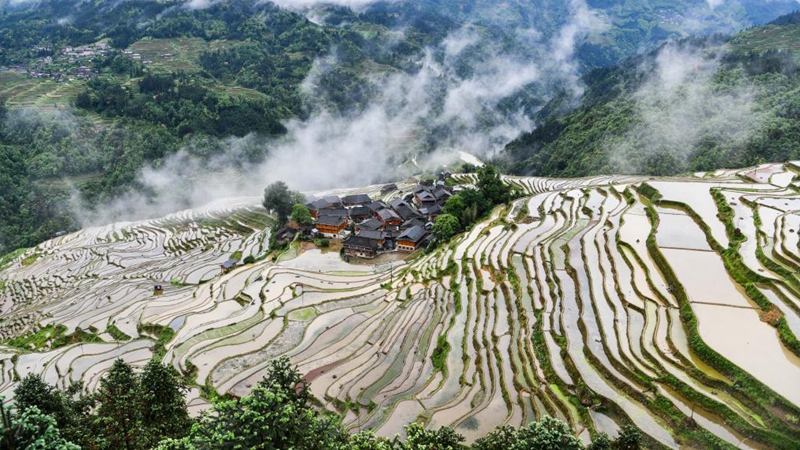 Photographer records changes in Jiabang terraced fields through lens in SW China's Guizhou