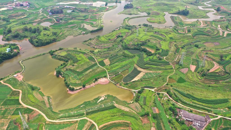 Aerial view of fields in Pumiao Township, China's Guangxi