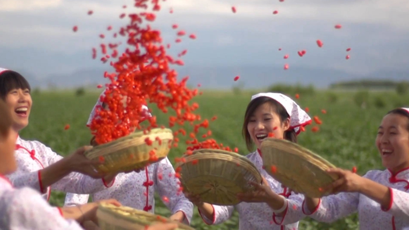 GLOBALink | Xinjiang official slams Western lies and stigmatization