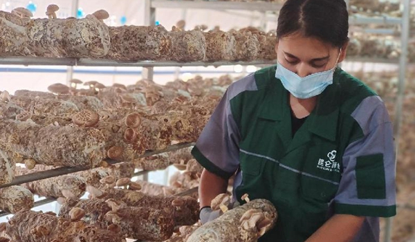 China to bolster support for small firms, self-employed individuals