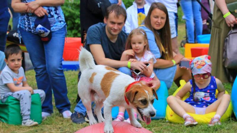 City picnic festival held in Minsk, Belarus
