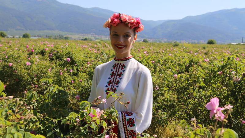 Rose Festival held in Bulgaria