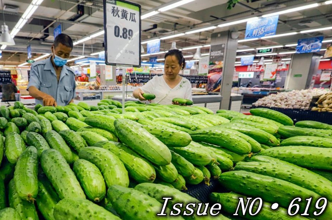 China's CPI continues expansion, PPI registers fast growth