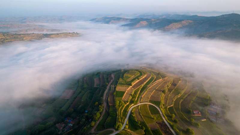 Sea of clouds in Chenshan Village, NW China