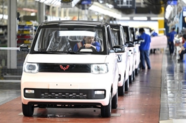 China sees thriving NEV market in 2021: report