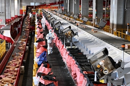 China's postal sector reports stable growth over Chinese New Year holiday