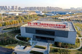 Anhui's pilot FTZ sees robust foreign trade in H1