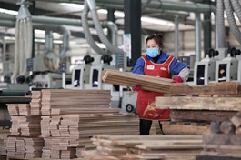 IPO reform on ChiNext board invigorates China's capital market