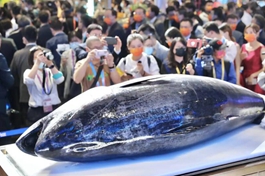 Economic Watch: Multinational food companies share opportunities in China's vast market