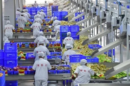 Industrial internet drives digital transformation of Chinese enterprises