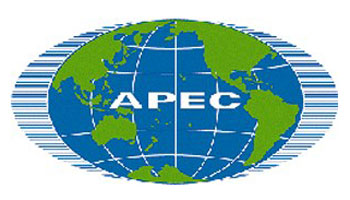 APEC to bring opportunities for Russia, regional integration: expert