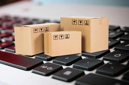 China's e-commerce logistics sector logs rebound in January