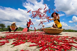 China ups financial support for agriculture, rural areas