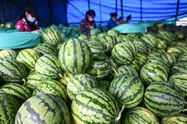 China's foreign trade of agricultural products up in Jan-April