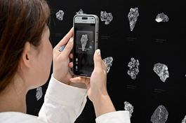 China's mobile phone shipments up 19.7 pct in October