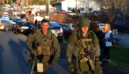 U.S. elementary school shooting kills 20 children