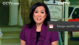 Crossover: Gun culture and gun control in US