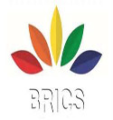 Backgrounder: Basic facts about BRICS