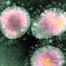 New coronavirus outbreak causes uneasiness: experts respond
