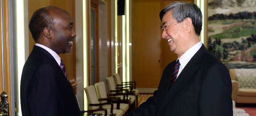 Xinhua president meets with director of Al Jazeera Center for Studies of Al Jazeera Media Network