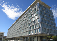 World Health Organization (WHO)