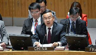 China says passing Syrian issue to ICC now harms efforts for political solution