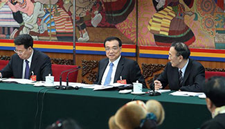 Chinese leaders join panel discussion with lawmakers