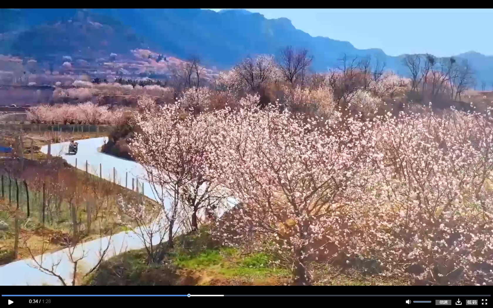 China issues white paper on human rights progress through moderate prosperity attainment