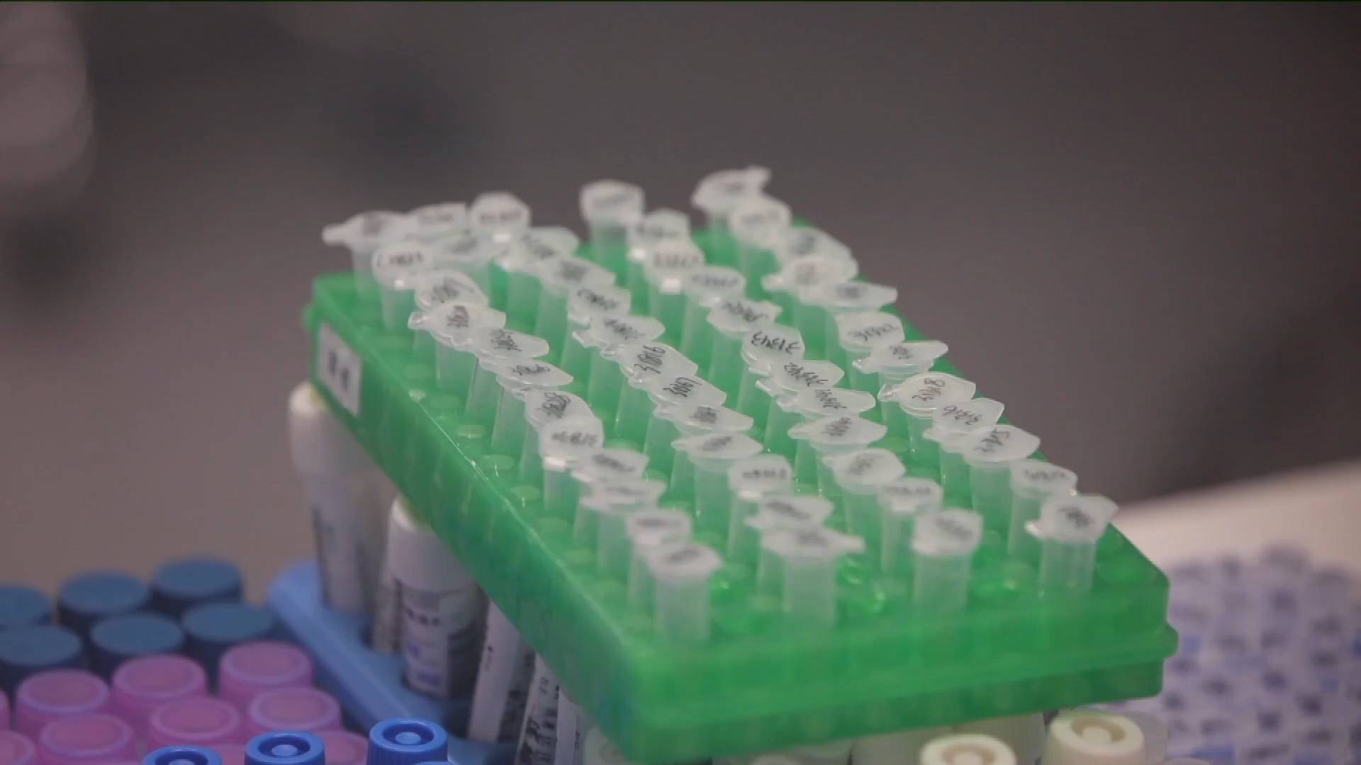 GLOBALink | U.S. Fort Detrick should be investigated for COVID-19 origin tracing: experts