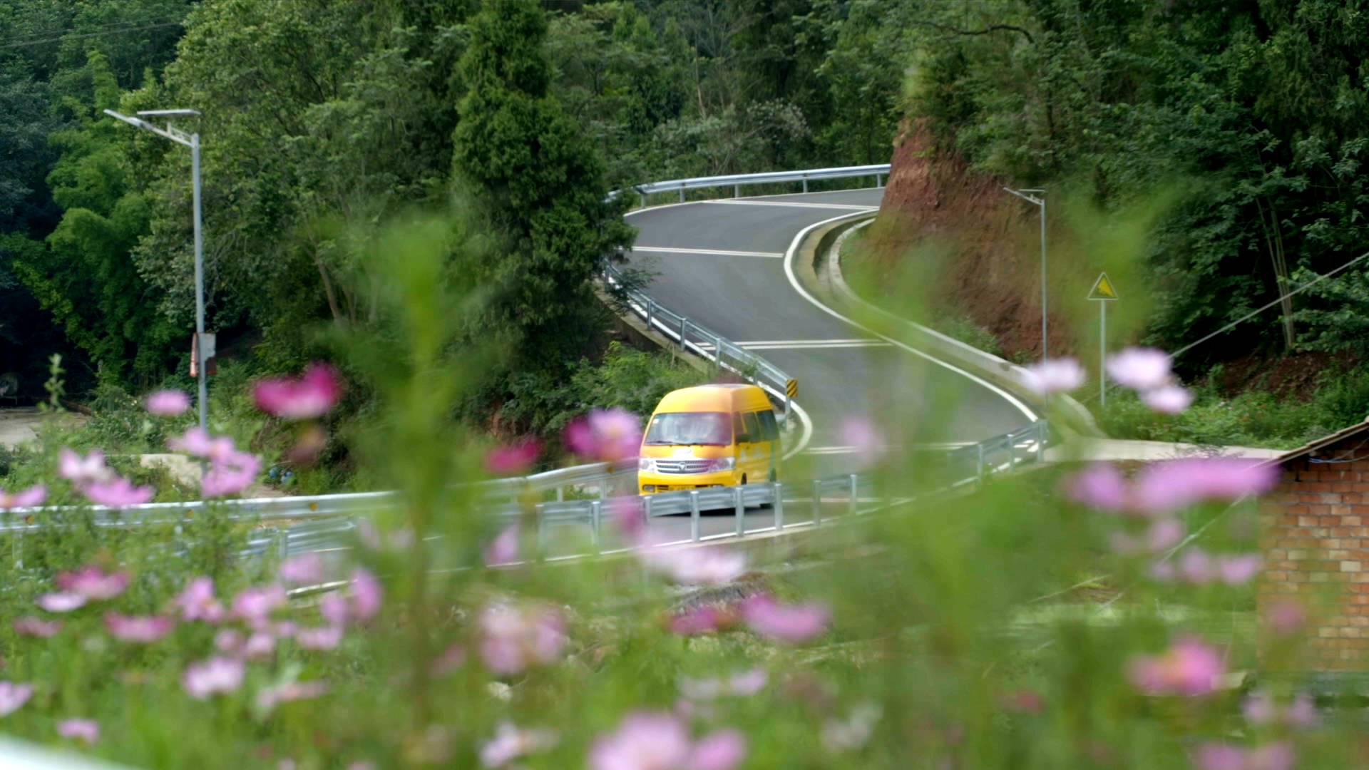 GLOBALink | China's practice in sustainable transport worth learning: experts