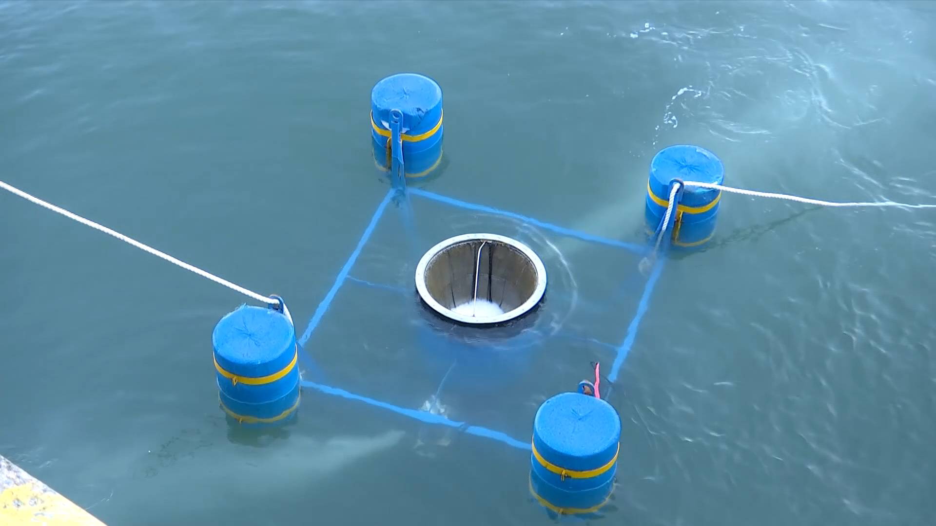 GLOBALink | Automatic marine trash cans put into use in north China port