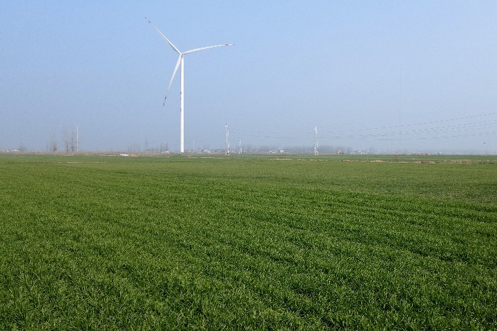 GLOBALink | "New energy+storage" system helps reduce carbon emission in east China