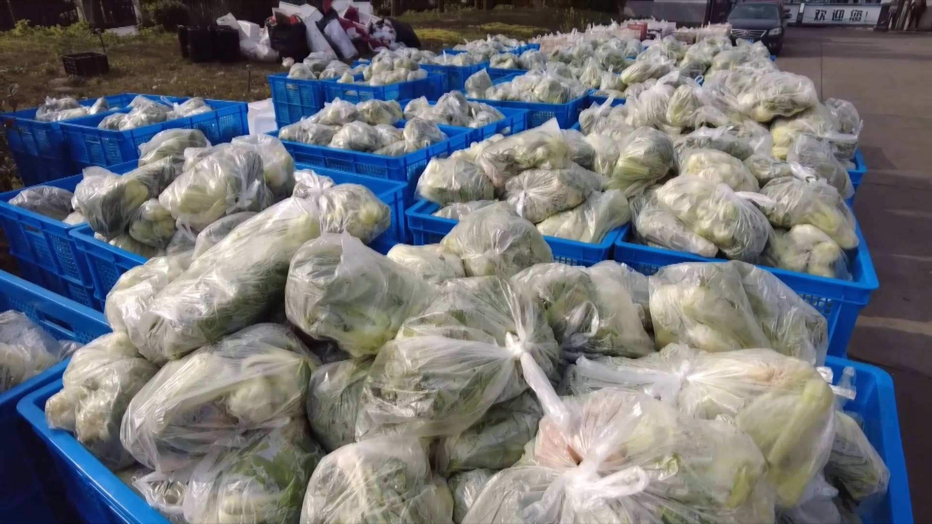 GLOBALink | How are daily necessities ensured in Shaoxing, China amid resurgence of epidemic?