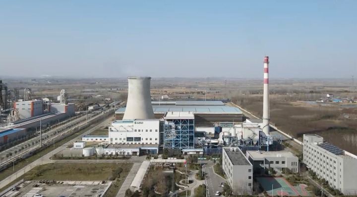 GLOBALink | Biomass power plant converts straw into energy in E China