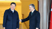 China's VP meets with Turkish president