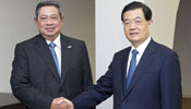 Chinese, Indonesian presidents meet on cooperation