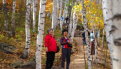 Tourists visit forest park in Beijing