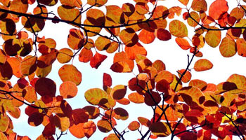 Autumn view on Changshou Mountain in China's Henan