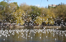 Gorgeous scenery of Kunming