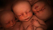 Explore womb of multiple births